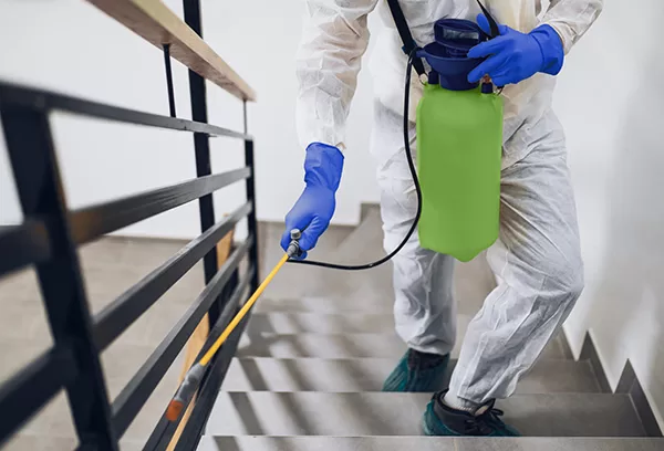 Pest control in stairway